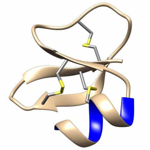 Defensin 1 Peptide