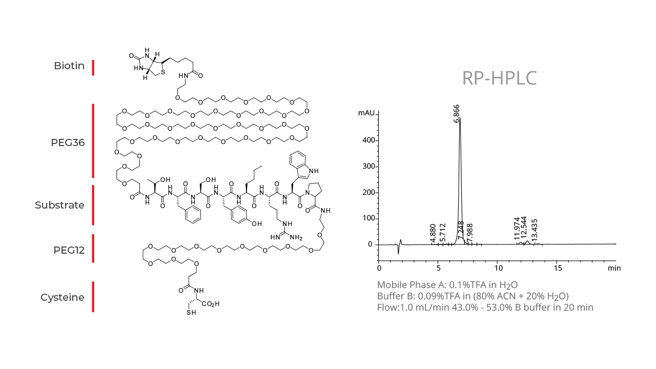 Peptide PEGylation Whitepaper