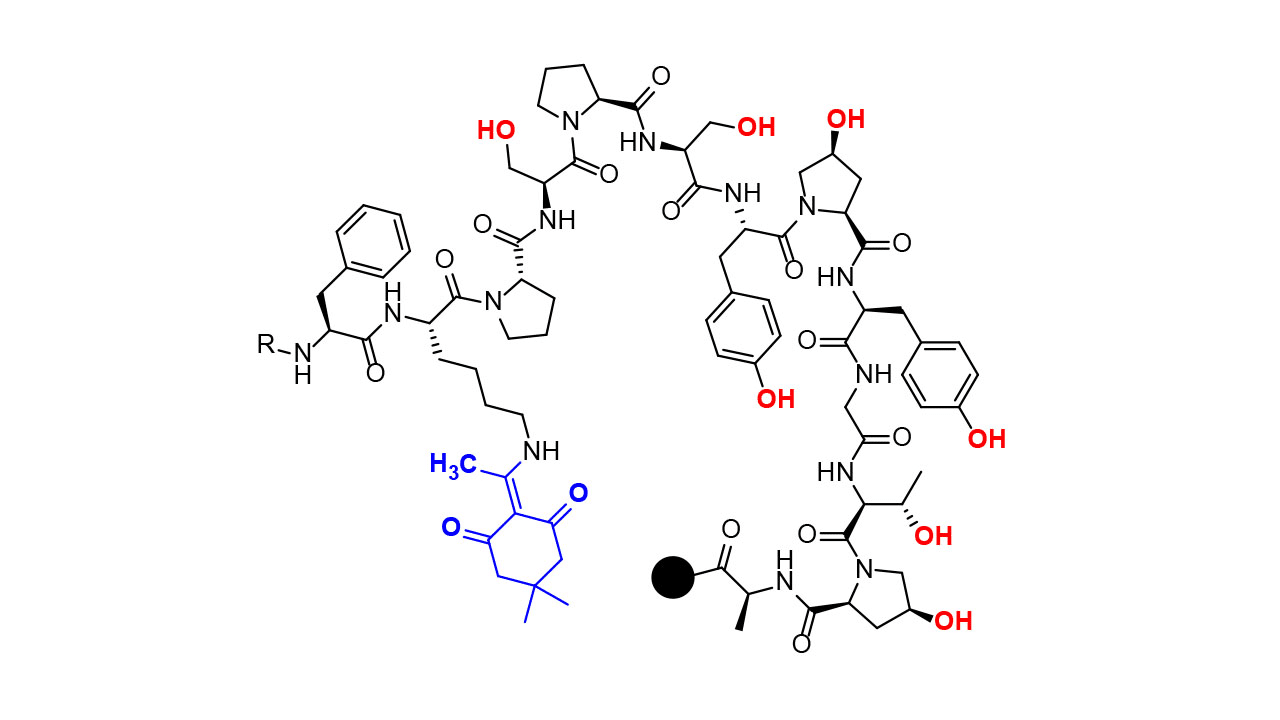 minimal protection strategies in SP peptide synthesis