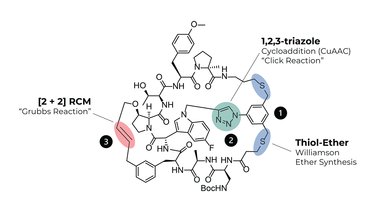 triple-stapled peptide case study Zhan cat